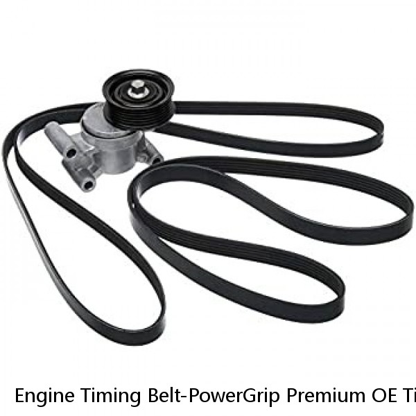 Engine Timing Belt-PowerGrip Premium OE Timing Belt Gates T286