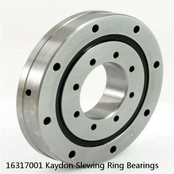 16317001 Kaydon Slewing Ring Bearings #1 small image