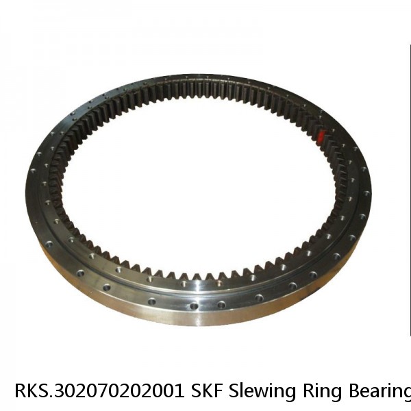 RKS.302070202001 SKF Slewing Ring Bearings #1 small image