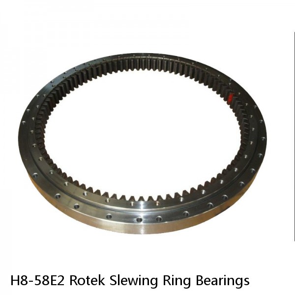 H8-58E2 Rotek Slewing Ring Bearings #1 small image