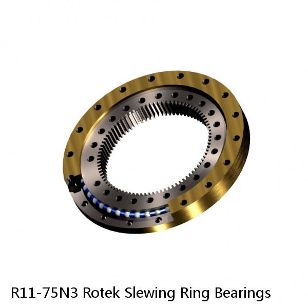 R11-75N3 Rotek Slewing Ring Bearings #1 small image