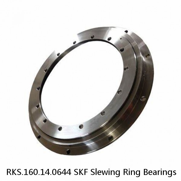 RKS.160.14.0644 SKF Slewing Ring Bearings #1 image