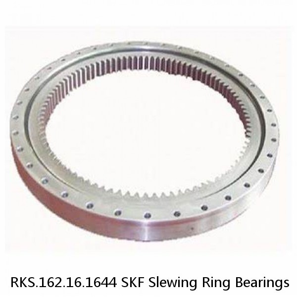 RKS.162.16.1644 SKF Slewing Ring Bearings #1 image