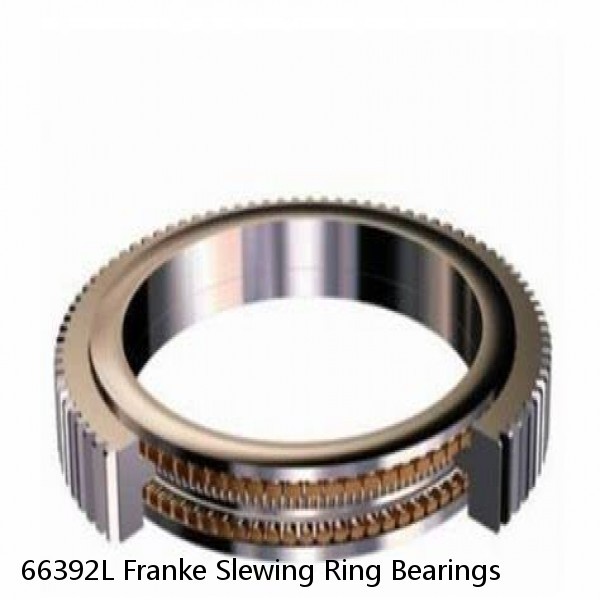 66392L Franke Slewing Ring Bearings #1 image