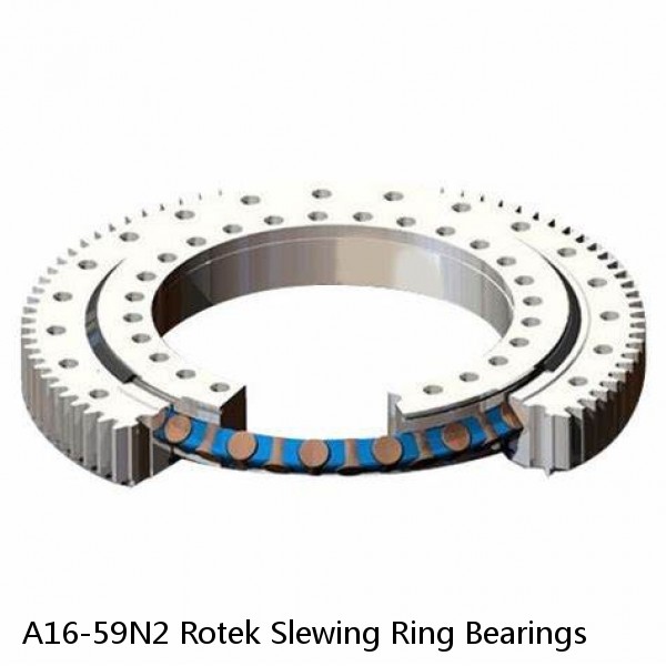 A16-59N2 Rotek Slewing Ring Bearings #1 image