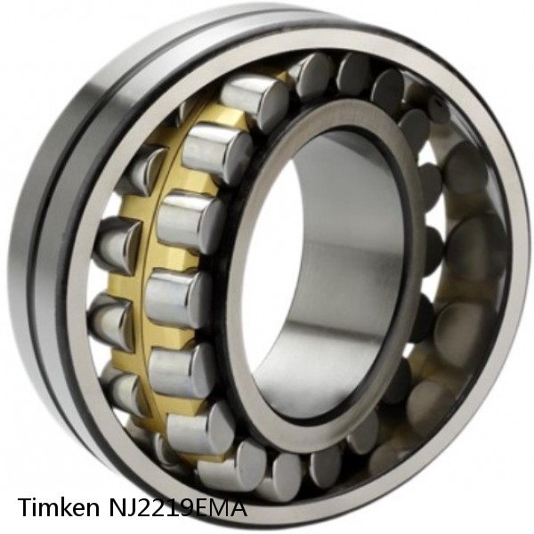 NJ2219EMA Timken Cylindrical Roller Bearing #1 image