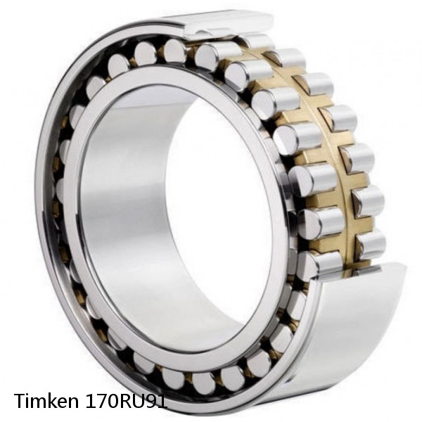 170RU91 Timken Cylindrical Roller Bearing #1 image