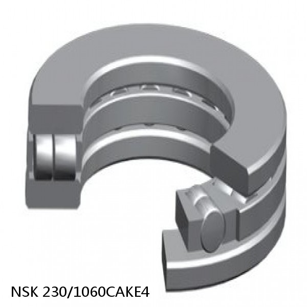 230/1060CAKE4 NSK Spherical Roller Bearing #1 image